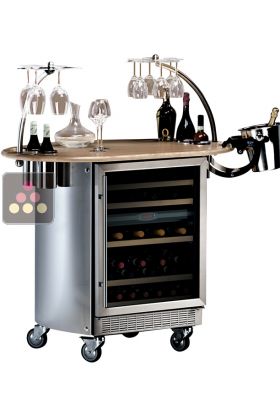 Beverage center with 2 operating temperatures service wine cabinet - top and bottom compartments