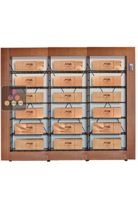 Smart Wine Library - 18 cases