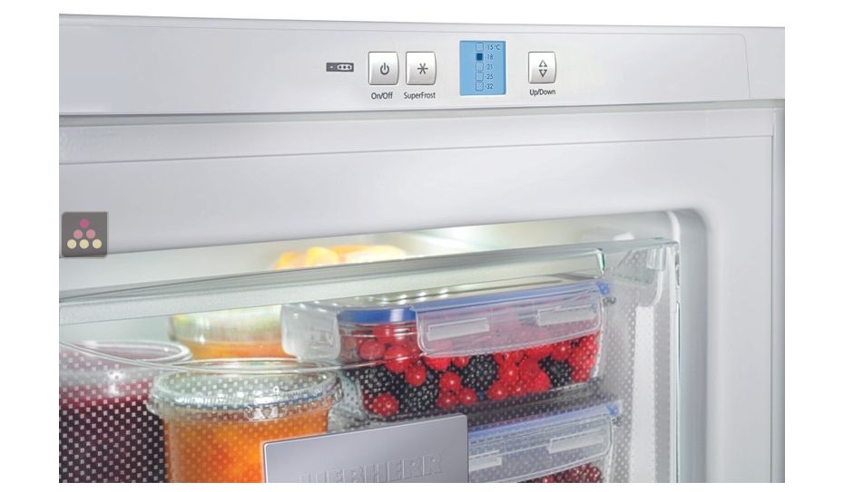 Static freezer - 158L - Manual Defrosting