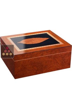 Compact Cigar Humidor