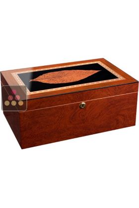 Cigar Humidor