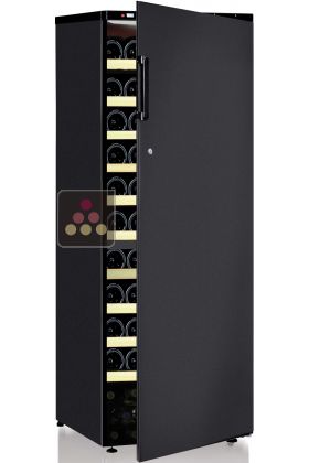 Dual temperature wine cabinet for ageing and and serving chilled wines
