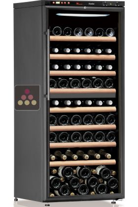 Dual temperature wine cabinet for service and/or storage