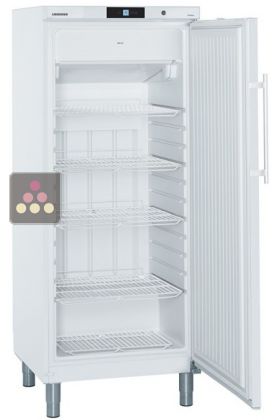 Freestanding professional freezer 337L