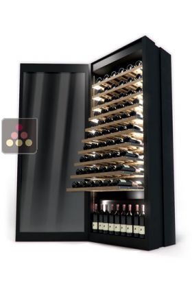 Dual temperature contemporary wine cabinet