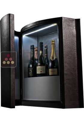 Dual temperature contemporary wine storage or service cabinet