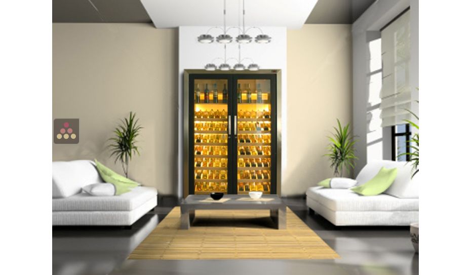 Dual temperature contemporary wine cabinets 