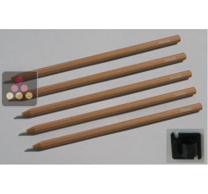 Set of 5 chalks + holder ARTEVINO