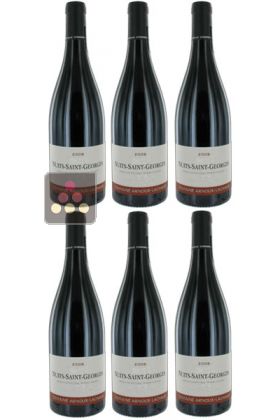 6 Bottles of Nuits-Saint-Georges 2009 - Domaine ARNOUX-LACHAUX