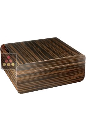 Compact Cigar Humidor - Lacquered ebony finish