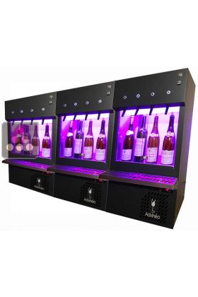 Three wine dispensers for 12 bottles with nitrogen storage system