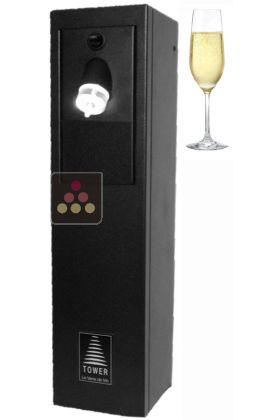 Preservation system for opened champagne bottles