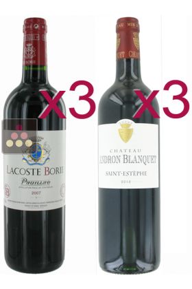 Selection of 6 Red Wines - Pauillac & Saint Estèphe