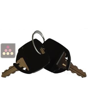 AvaValley 34264332 Key and Lock Set for Wine Refrigerators