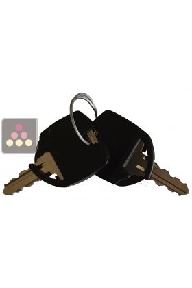 2 replacement keys for Artevino wine cabinet with solid door
