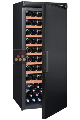 Single temperature wine cabinet for ageing or service