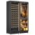 Combined built-in multi-temperature wine cabinet, cheese & cold meat cabinet