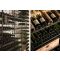 Arrangement of 770 bottle cellars - Specific manufacturing - Wood System