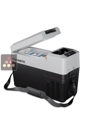 Portable thermoelectric cooler - 13L