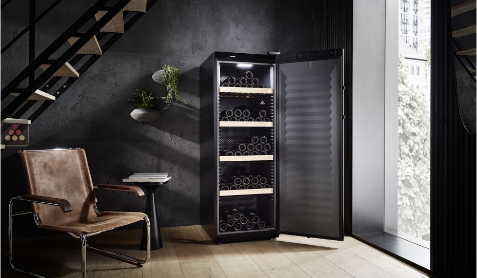 Single-temperature wine cabinet for ageing or service