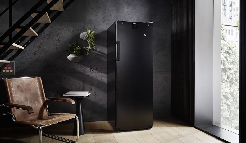 Single-temperature wine cabinet for ageing or service