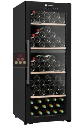 2 temperature wine cabinet for service and ageing