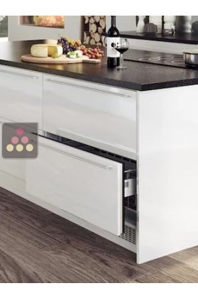 Built-in drawer fridge with customizable facade pannel