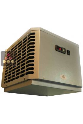 Additional work for 2 Replacement of natural cellar cooling unit 