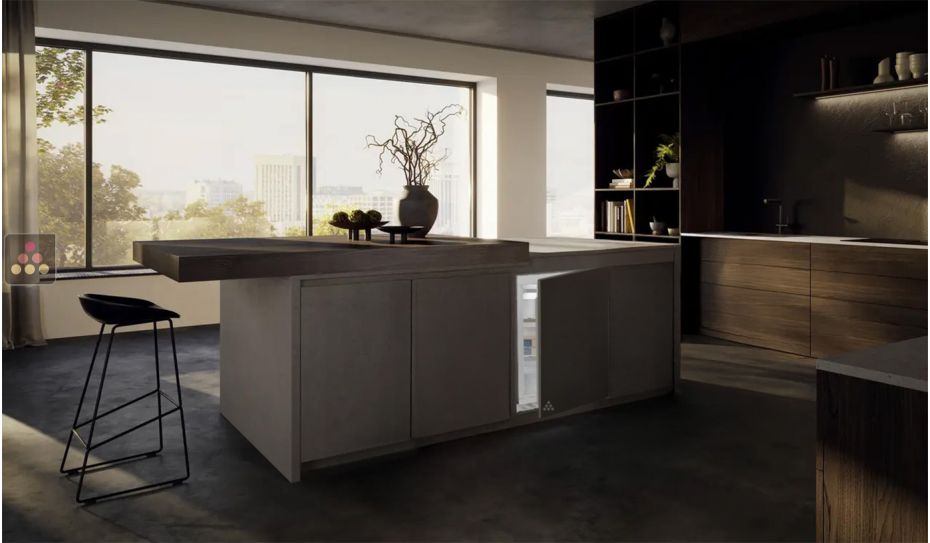 Mini Freezer : can be fitted under counter with decorative panel coverable - 80 Litres