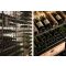 Arrangement of 1968 bottles cellars - Specific manufacturing - Essentiel System - H=220cm and H=170cm