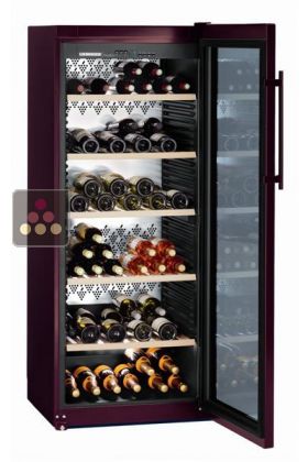 Multipurpose Dual temperature wine cabinet for storage & service