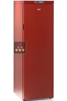 Single-temperature wine cabinet for ageing or service