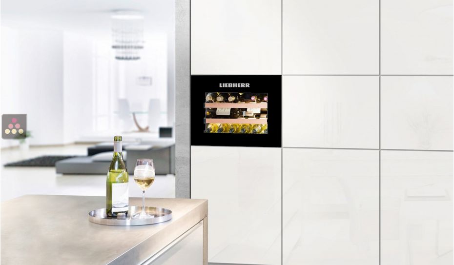 Single-temperature wine cabinet for storage or service - can be fitted