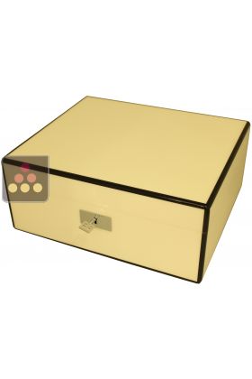 Cigar humidor with white finishing