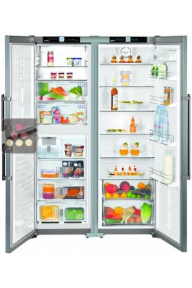 Combined fridge, freezer, ice maker & Biofresh zone