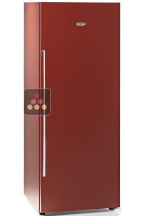 Single-temperature wine cabinet for ageing or service