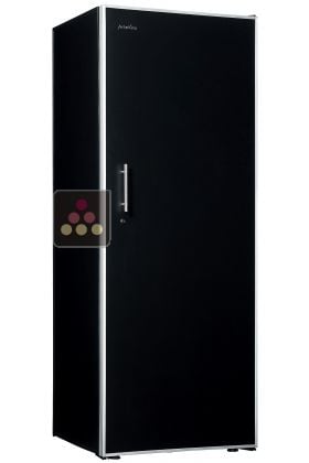 Dual Temperature Multi-Purpose Wine Cabinet for wine ageing and fresh drinks service