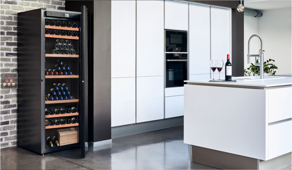 Single-temperature wine cabinet for ageing or service - Adjustable hygrometry