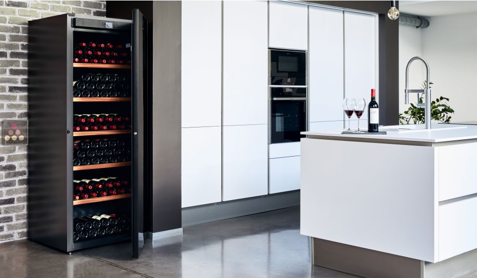 Single-temperature wine cabinet for ageing or service - Adjustable hygrometry