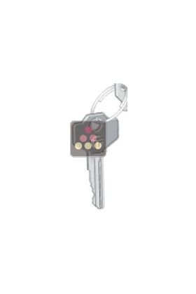 Replacement key for Calice Model ACI-CAL931