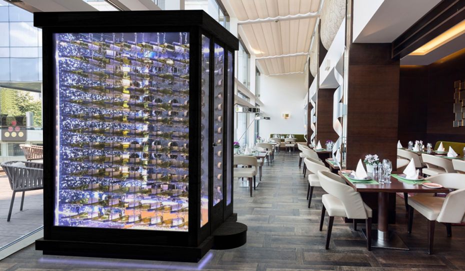 Single temperature Cellar – 3 glass walls – Suspended Bottles – Ageing or service