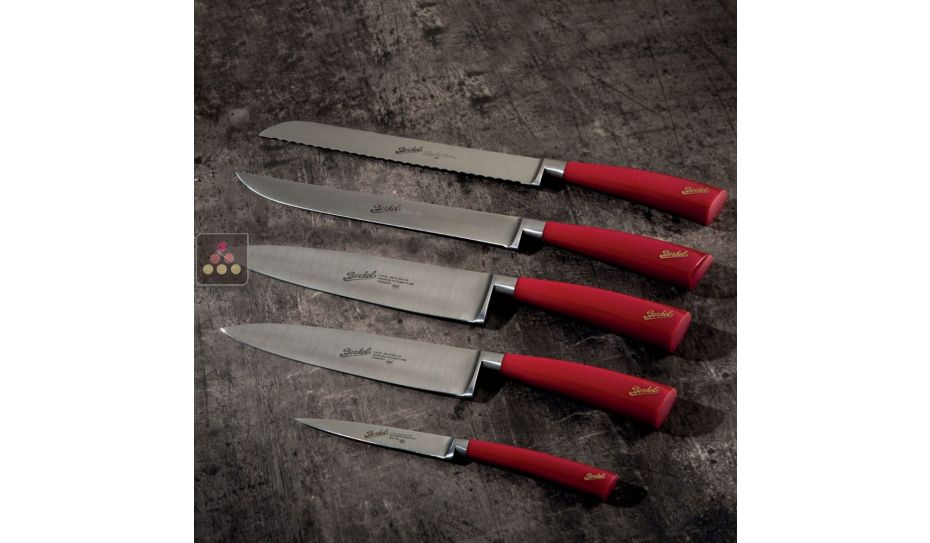Set of 5 Chef knives + Red leather and stainless steel knives holder