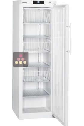 Freestanding professional freezer 348L