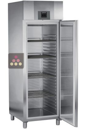 Freestanding professional freezer - 465L