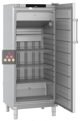 Freestanding professional No Frost freezer - Stainless steel - 322L