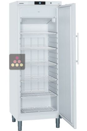 Freestanding professional No Frost freezer - 377L