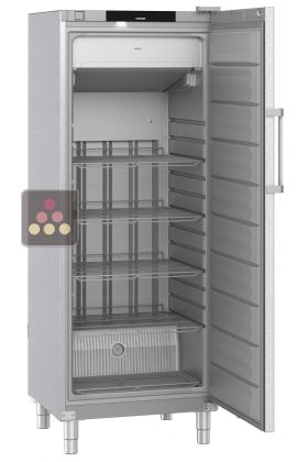 Freestanding professional No Frost freezer - ABS Interior - Stainless steel exterior - 378L