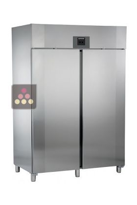 Freestanding professional double doors freezer GN 2/1 - Stainless steel interior and exterior - 1056L