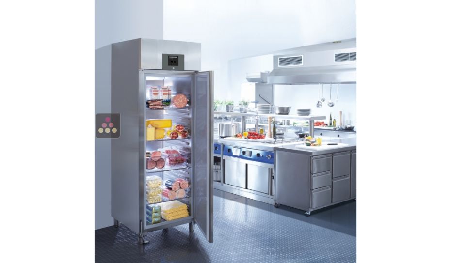 Freestanding commercial freezer GN 2/1 - Stainless steel interior and exterior - 465L