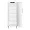 Forced-air freestanding professional refrigerator - 479L